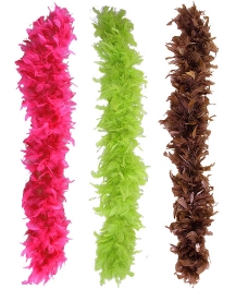 boa-plumes-striptease-1.jpg