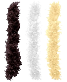 boa-plumes-striptease-2.jpg