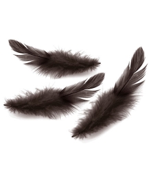 plume-caresse-massage-noire-1.jpg
