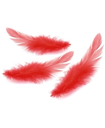 plume-caresse-massage-rouge-1.jpg