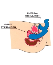 schema-point-g.jpg