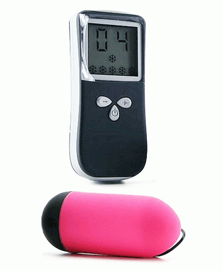 L'Oeuf avec Télécommande Ecran LCD Luxe