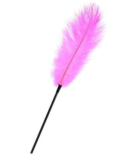 La Longue Plume Rose sur Tige Spéciale Caresses