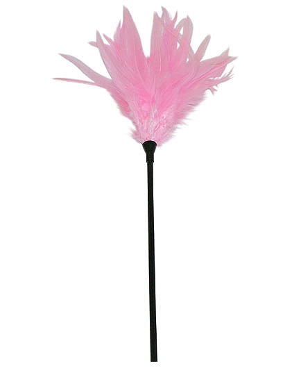 Le Plumeau Caresses rose sur Tige Longue