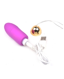 sextoy-oeuf-femme-rechargeable-usb.jpg