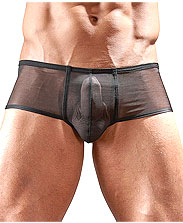 boxer-coquin-sexy-homme-transparent.jpg