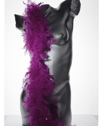 Le Boa Plumes Sexy Striptease - photo 5