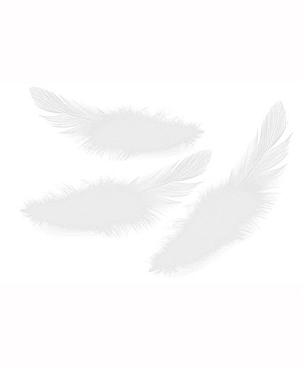 Le Lot de 18 Plumes Caresses Sensuelles - photo 4