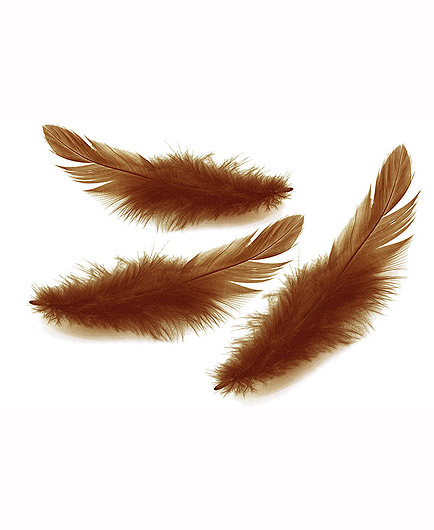 Le Lot de 18 Plumes Caresses Sensuelles - photo 9