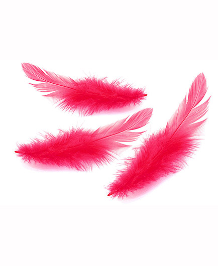 Le Lot de 18 Plumes Caresses Sensuelles - photo 7