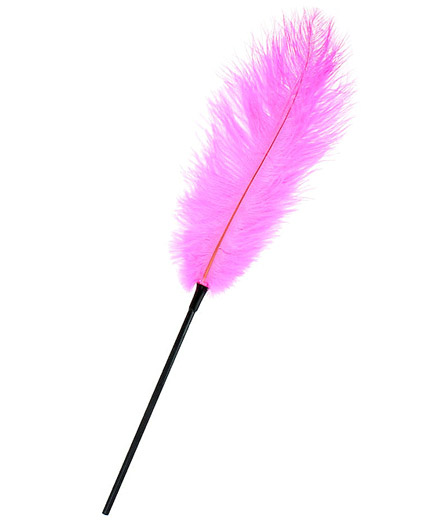 La Longue Plume Rose sur Tige Spéciale Caresses - photo 1