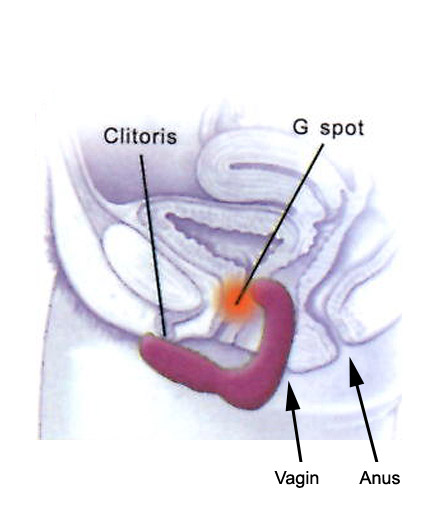 Le Stimulateur POINT G Souple Vibrant - photo 3